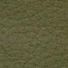 Color - 164 Avocado