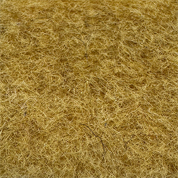 Color - 2011 Champagne