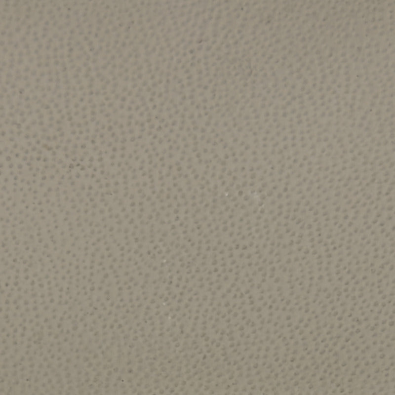 Color - 226 Lotus White