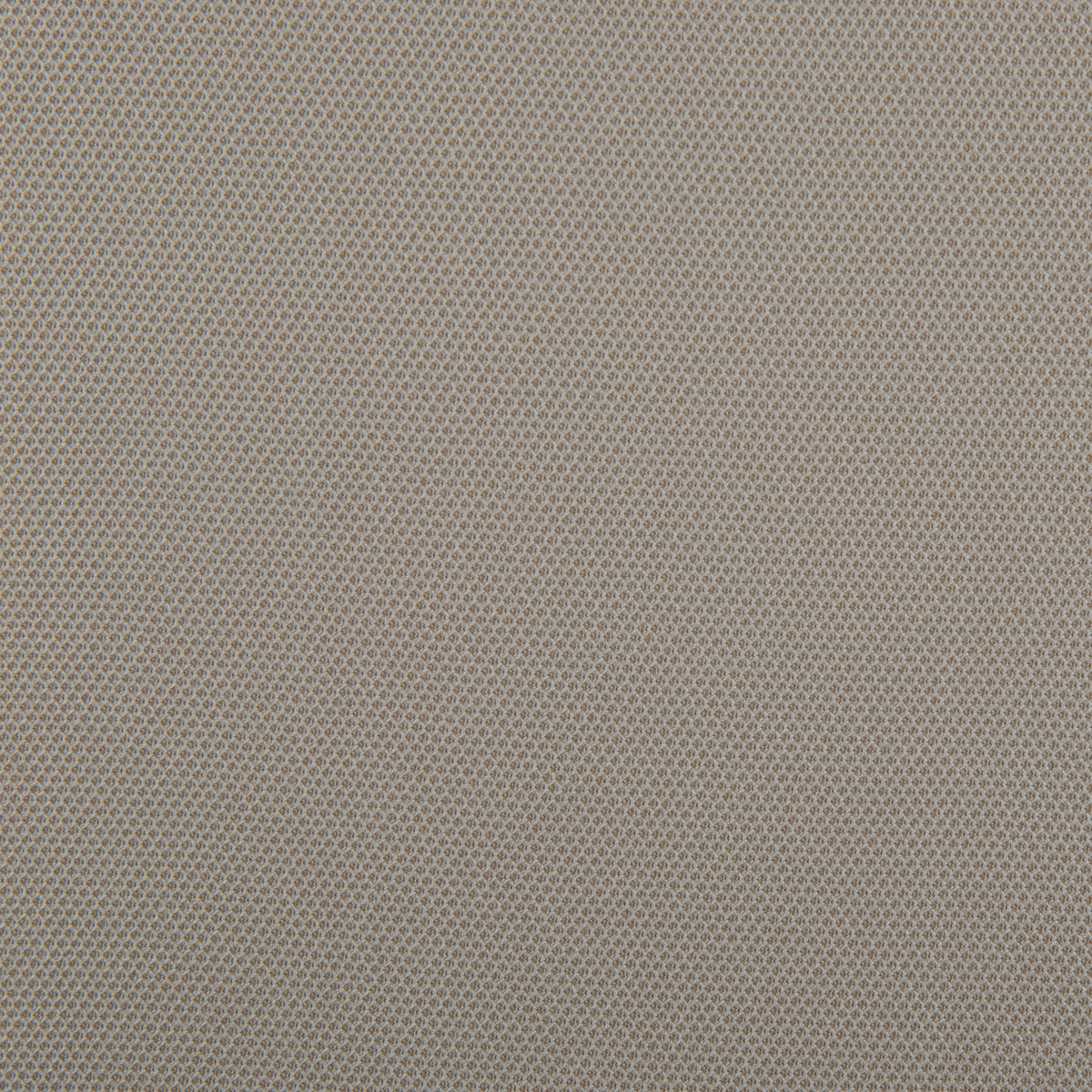 Color - 2335 Tan