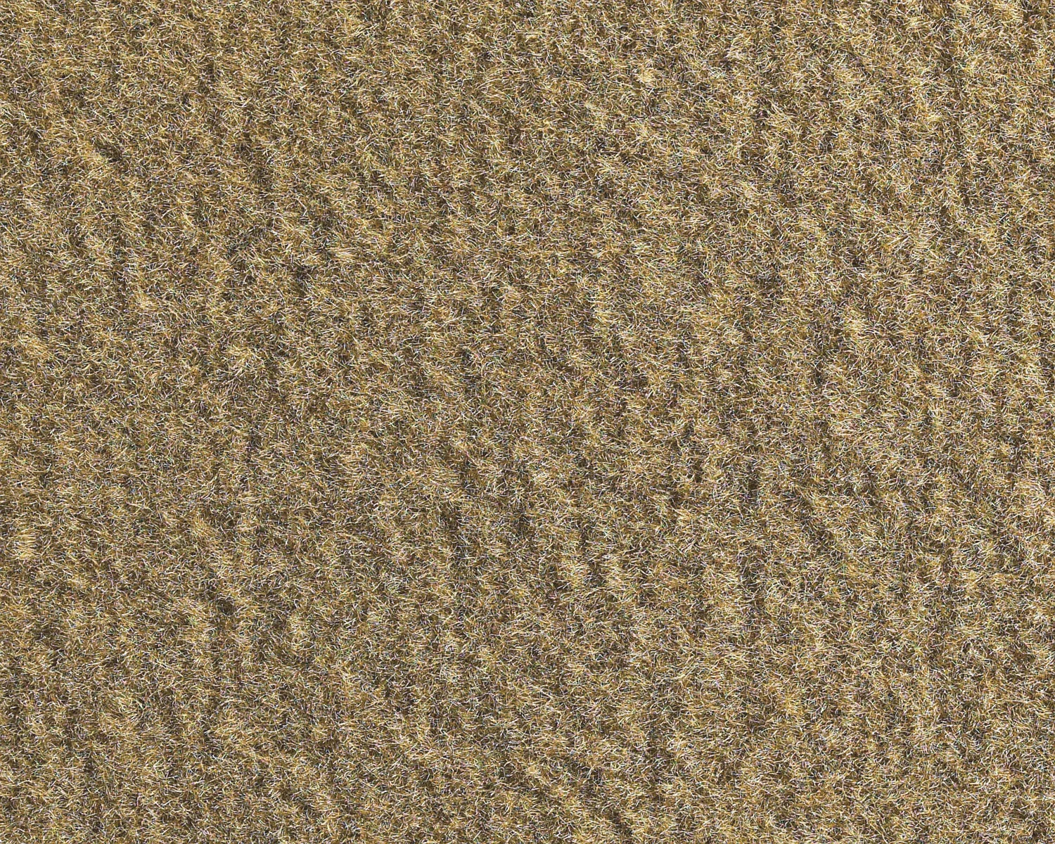 Color - 851 Biscuit