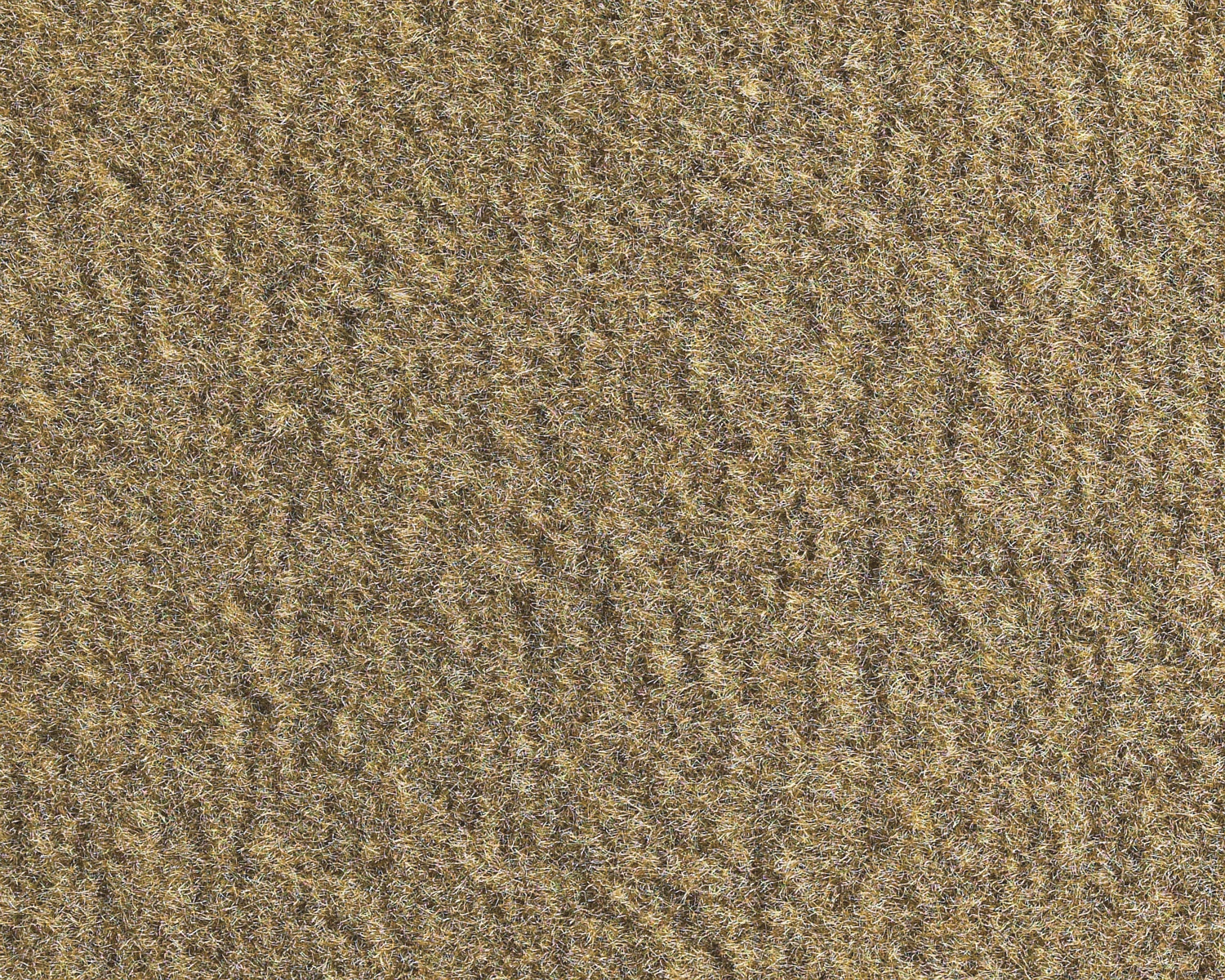 Free Carpet Samples