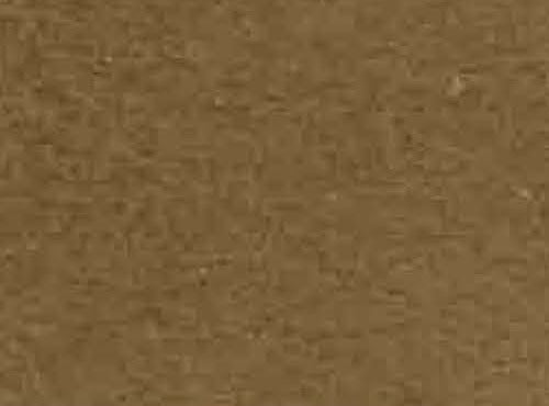 Color - 14 Taupe