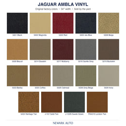 Jaguar Ambla Vinyl