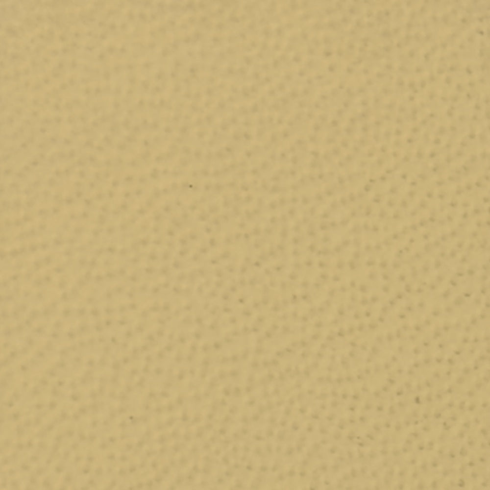 Color - 466N Shell